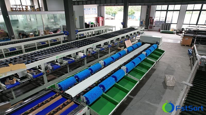 avocado grader.jpg avocado grader.jpg